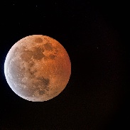 <font class="tempImageTitleThumbText">Total Lunar Eclipse</font><br>Dennis Simmons<br>Oct 8 1:23pm<br>Brisbane, Qld, Australia