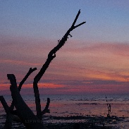 <font class="tempImageTitleThumbText">Moon, Venus And Sunset</font><br>Derrick Lim<br>Feb 2 2:45am<br>Kedah, Malaysia