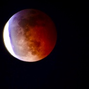 <font class="tempImageTitleThumbText">Lunar Eclipse</font><br>Deven Parekh<br>Jan 21 3:14pm<br>Aurora Illinois USA