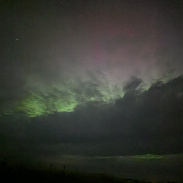 <font class="tempImageTitleThumbText">Auroras</font><br>Diane Ellsworth<br>Jul 4 6:47am<br>Gaylord,  Michigan 