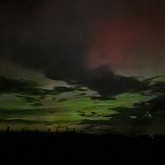 <font class="tempImageTitleThumbText">Auroras</font><br>Diane Ellsworth<br>Aug 18 3:25pm<br>Gaylord,  Michigan 