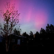 <font class="tempImageTitleThumbText">Aurora </font><br>Diane Locey<br>Nov 12 7:13pm<br>Spokane, Wa