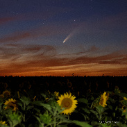 <font class="tempImageTitleThumbText">Comet C/2020 F3 Neowise</font><br>Didier Walliang<br>Jul 13 1:02pm<br>Lorraine, France