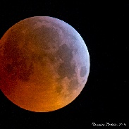 <font class="tempImageTitleThumbText">Lunar Eclipse</font><br>Domenico Licchelli<br>Jan 21 12:10pm<br>Gagliano del Capo, Italy