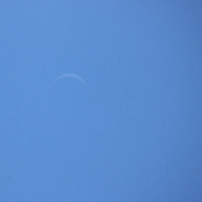 <font class="tempImageTitleThumbText">The Moon-Venus Occultation</font><br>Dominic G.<br>Jun 17 9:38pm<br>Surprise, Arizona, USA