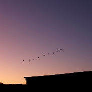<font class="tempImageTitleThumbText">Volcanic Sunset</font><br>Don Berry<br>Sep 20 5:39pm<br>Dorset, UK