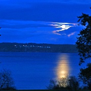 <font class="tempImageTitleThumbText">Penumbral Lunar Eclipse</font><br>Donna  Omeara<br>Feb 12 6:37pm<br>Coupevill WA, USA