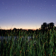 <font class="tempImageTitleThumbText">NEOWISE From Dark Sky 1 Of 2</font><br>Doug Zubenel<br>Jul 22 8:42pm<br>Pottawatomie State Fishing Lake