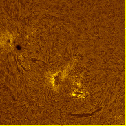 <font class="tempImageTitleThumbText">Sunspot Group</font><br>Douglas Kostyk<br>Jun 27 7:15pm<br>Farash Center for Observational