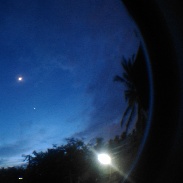 <font class="tempImageTitleThumbText">MOON-VENUS CONJUNCTION</font><br>Dr GURURAJ HB<br>Jun 17 2:15pm<br>MYSORE