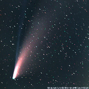 <font class="tempImageTitleThumbText">Comet C/2020 F3 Neowise</font><br>Dr Paolo Candy<br>Jul 22 11:09am<br>Ci.A.O. Cimini Astronomical Obs