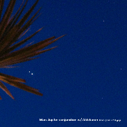 <font class="tempImageTitleThumbText">Mars-Jupiter Conjunction W/ Palm And Alde</font><br>Dr. Gilbert Plumer<br>Aug 14 4:36pm<br>Rockledge, Florida, USA