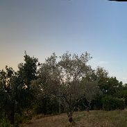 <font class="tempImageTitleThumbText">Solar Eclipse</font><br>don Luca Pescatori<br>Aug 12 11:05pm<br>Near La Spezia, Liguria, Italy