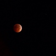 <font class="tempImageTitleThumbText">Lunar Eclipse </font><br>Ed Brooks<br>Oct 8 11:47pm<br>San Francisco, CA