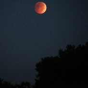 <font class="tempImageTitleThumbText">Lunar Eclipse</font><br>Ed OLenic<br>Oct 8 11:13am<br>Near Mount Vernon, Virginia