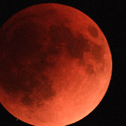 <font class="tempImageTitleThumbText">LUNAR ECLIPSE WITH OCCULTATION</font><br>Eduardo Baldaci de lima<br>May 16 2:13pm<br>ORLANDO.FL - USA