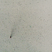 <font class="tempImageTitleThumbText">Comet Neowise</font><br>Eduardo Baldaci de lima<br>Jul 25 12:40pm<br>Winter Garden.FL