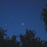 <font class="tempImageTitleThumbText">Venus Jupiter</font><br>Edward M Potosky<br>Jun 9 9:03pm<br>NE of Pittsburgh, Pa.