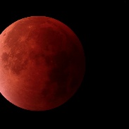 <font class="tempImageTitleThumbText">Lunar Eclipse</font><br>Edwin van Schijndel<br>Sep 28 1:18pm<br>Halley Observatory, Heesch The 