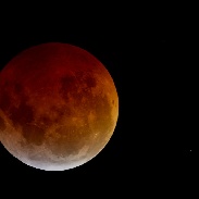 <font class="tempImageTitleThumbText">TOTAL LUNAR ECLIPSE</font><br>Efrain Perez Cerquera<br>Jan 21 7:37am<br>Neiva, Huila, COLOMBIA