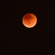 <font class="tempImageTitleThumbText">Lunar Eclipse</font><br>Elaine Jones<br>Sep 28 4:37am<br>Tucson, AZ, USA