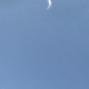 <font class="tempImageTitleThumbText">Venus In The Daytime</font><br>Elias Bonaros<br>Oct 30 4:53pm<br>Bayside, New York, USA
