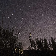 <font class="tempImageTitleThumbText">Geminid Meteor- Meteor Camera View</font><br>Eliot Herman<br>Dec 15 4:53pm<br>Tucson AZ
