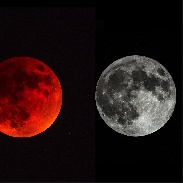 <font class="tempImageTitleThumbText">Color And Context Of The Lunar Eclipse</font><br>Eliot Herman<br>Oct 5 4:18am<br>Tucson AZ