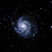 <font class="tempImageTitleThumbText">Supernova In M101 May Have Peaked</font><br>Eliot Herman<br>May 24 2:12pm<br>Utah Desert Observatory 