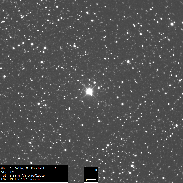 <font class="tempImageTitleThumbText">Nova In Centaurus</font><br>Ernesto Guido, Marco Rocchetto, Luca Izzo<br>Sep 23 4:48pm<br>remotely from Australia