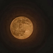 <font class="tempImageTitleThumbText">Full Harvest Moon 2026 </font><br>Ernie Bautista<br>Sep 26 11:36am<br>Manila, Philippines 