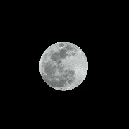 <font class="tempImageTitleThumbText">Supermoon Lunar Eclipse</font><br>Eugene Miller<br>Jan 21 4:54pm<br>Brooklyn, New York