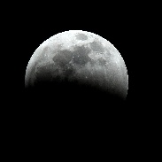 <font class="tempImageTitleThumbText">Partial Lunar Eclipse - January 20, 2019</font><br>Eugene Miller<br>Jan 21 4:41am<br>Brooklyn, New York