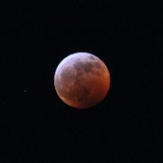 <font class="tempImageTitleThumbText">Supermoon Lunar Eclipse</font><br>Eugene Miller<br>Jan 21 5:34pm<br>Brooklyn, New York