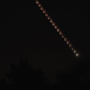 <font class="tempImageTitleThumbText">Lunar Eclipse</font><br>ed lomeli<br>Feb 1 5:47am<br>Sacramento, California, USA