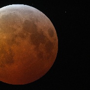 <font class="tempImageTitleThumbText">Lunar Eclipse</font><br>ed lomeli<br>Jan 21 7:15am<br>Sacramento, California, USA