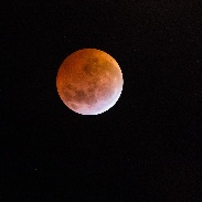 <font class="tempImageTitleThumbText">Total Lunar Eclipse</font><br>Fabio Dornelles<br>Jan 22 4:06pm<br>Porto Alegre/RS, Brazil