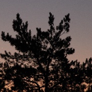 <font class="tempImageTitleThumbText">Venus-Jupiter Conjunction</font><br>Filipp Romanov<br>Nov 13 6:13am<br>Moscow Region, Russia