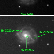 <font class="tempImageTitleThumbText">Three Supernovae In One Galaxy NGC 5605!</font><br>Filipp Romanov<br>Feb 18 2:51pm<br>Remotely using iTelescope T32, 