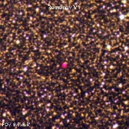 <font class="tempImageTitleThumbText">Possible Nova Scorpii 1958</font><br>Filipp Romanov<br>Feb 24 7:10pm<br>Moscow, Russian Federation