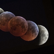 <font class="tempImageTitleThumbText">Total Lunar Eclipse</font><br>Finazzi Antonio<br>Jan 22 10:55am<br>Chiuduno (BG) Italy