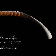 <font class="tempImageTitleThumbText">Total Lunar Eclipse</font><br>Francis X Murphy Jr<br>Jan 21 10:49pm<br>Thorndale, Pa