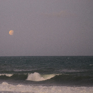 <font class="tempImageTitleThumbText">Lunar Eclipse</font><br>Francisco Javier Tovar<br>Oct 28 10:02pm<br>Maceió, Alagoas, Brazil.
