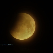 <font class="tempImageTitleThumbText">Begin Of The Lunar Eclipse</font><br>François Roger van Loo<br>May 16 4:56am<br>Genk, Belgium