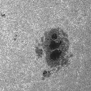 <font class="tempImageTitleThumbText">Two Ultraviolet Images</font><br>Francois Rouviere<br>Jul 3 1:13pm<br>Cannes, France