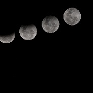 <font class="tempImageTitleThumbText">Lunar Eclipse</font><br>Frank Garcia<br>Jan 21 9:49pm<br>Broussard, LA