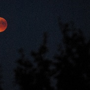 <font class="tempImageTitleThumbText">Lunar Eclipse</font><br>Frank Talens<br>Jul 27 9:36pm<br>Gorredijk, The Netherlands