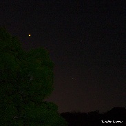 <font class="tempImageTitleThumbText">Mars - A Tangerine In The Sky</font><br>Frankie Lucena<br>Apr 9 5:54pm<br>Cabo Rojo,Puerto Rico