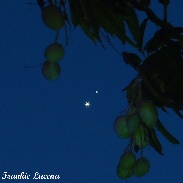 <font class="tempImageTitleThumbText">Venus And Jupiter Hanging Out</font><br>Frankie Lucena<br>Jul 1 2:32am<br>Cabo Rojo,Puerto Rico
