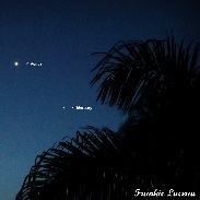 <font class="tempImageTitleThumbText">Tropical Delight - Venus And Mercury</font><br>Frankie Lucena<br>Jan 14 11:35pm<br>Cabo Rojo, Puerto Rico
